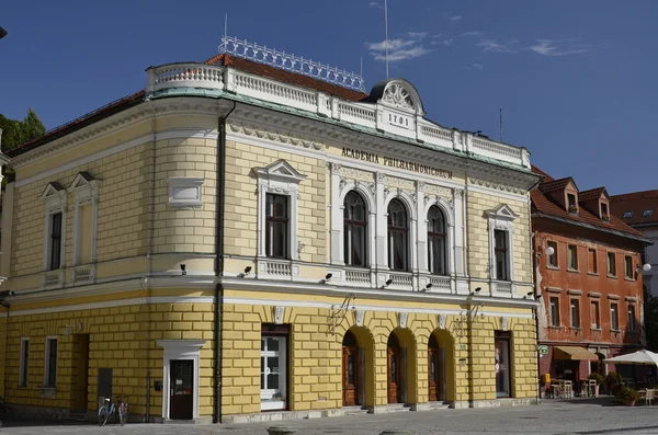 Filharmoniska academy, ljubljana — Stockfoto