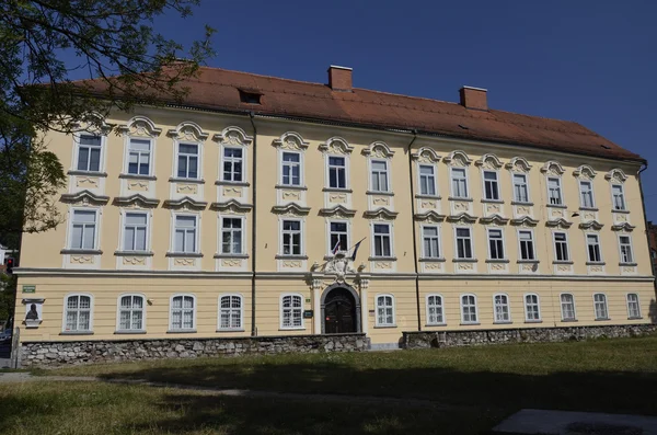 Gruber palác, Lublaň — Stock fotografie