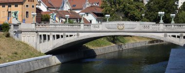 Dragon Köprüsü, ljubljana 5