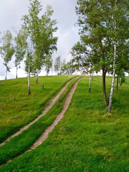 Tepedeki toprak yol.