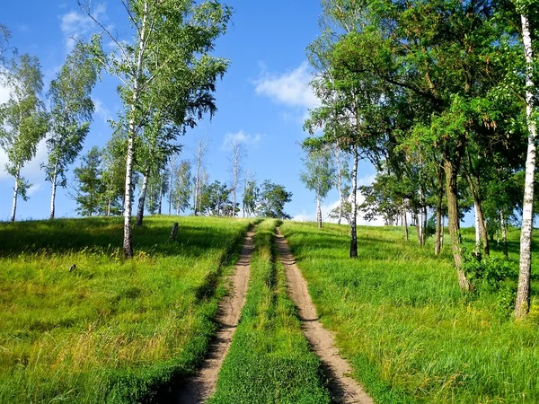 A estrada de terra que leva até — Fotografia de Stock