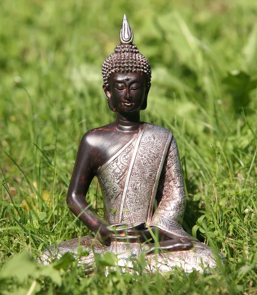 Posąg Buddy w trawie — Zdjęcie stockowe