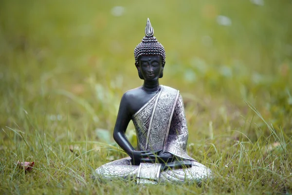 Socha Buddhy v trávě — Stock fotografie