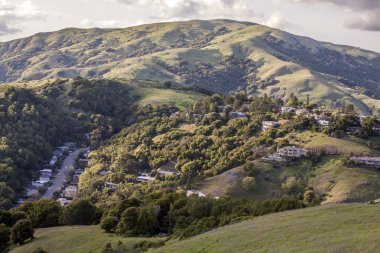 Marin county hills