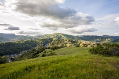 Marin county hills