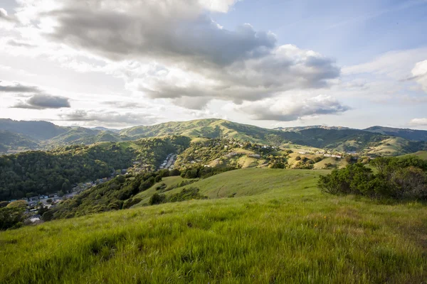 Marin county heuvels — Stockfoto