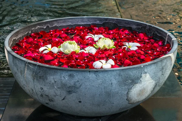 Rosenblad, lotos och plumeria blommor i skålen — Stockfoto