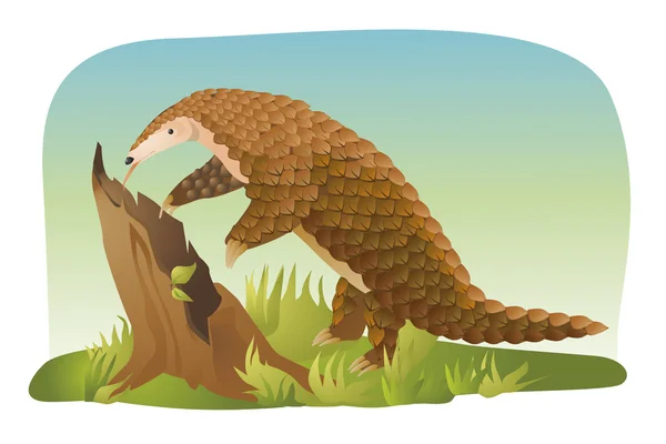 Pangolin — Stockový vektor