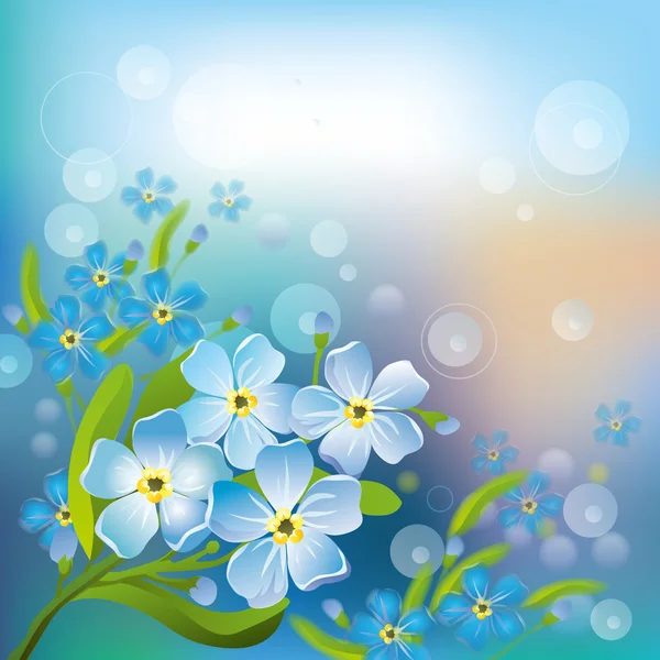 Flores de verano azul No me olvides — Vector de stock