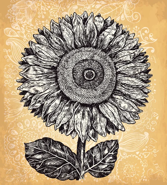 Вінтажний фон з намальованою рукою квітка — стоковий вектор