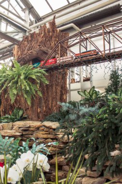 Bahçelerde güzel bir model tren tatili gösterisi.