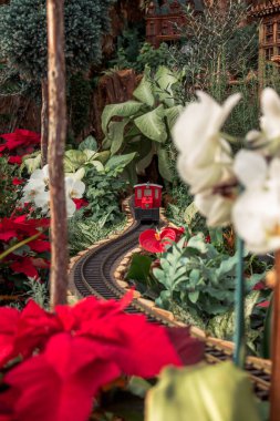 Kırmızı model tren, bir bahçede noktalı yıldızların arasından geçiyor.