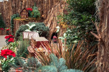 Kırmızı model tren tünelden çıkıyor.