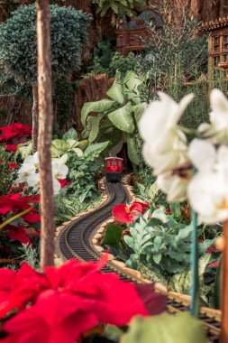 Kırmızı model tren bir tatil vitrininde noktalı setlerde çalışıyor.