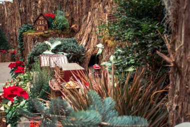 Kırmızı model tramvay doğal bir ekranda raylarda ilerliyor.