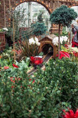 Kırmızı tren pistte yarışıyor.