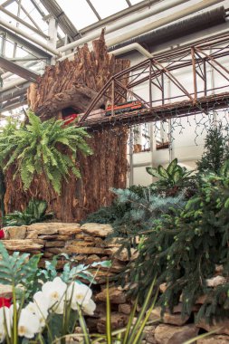 Şelalenin üstündeki köprüden geçen tren.