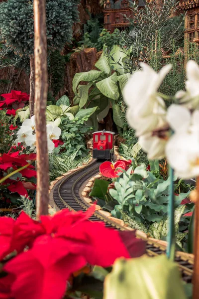 Röd Modell Tåg Som Går Genom Julstjärna — Stockfoto