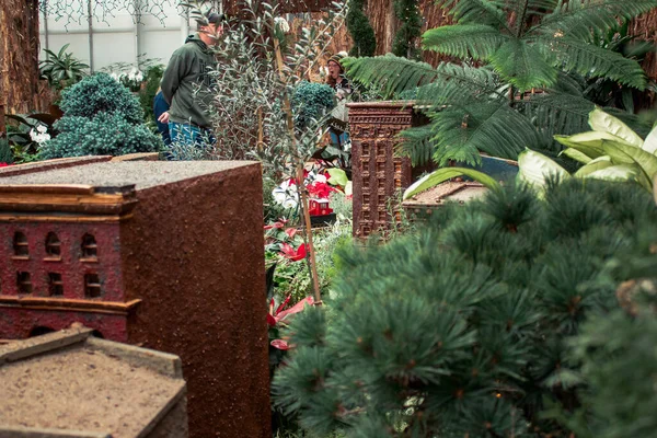 Tren vitrininde küçük bir şehir.