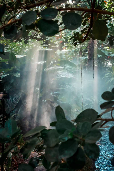 Tropik Bahçedeki Bir Şelaleden Yükselen Buharı — Stok fotoğraf