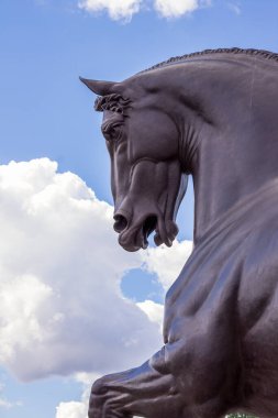 Amerikan At Kanunu 'na bakıyorum.