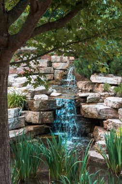 Parktaki bir bahçede küçük bir şelale