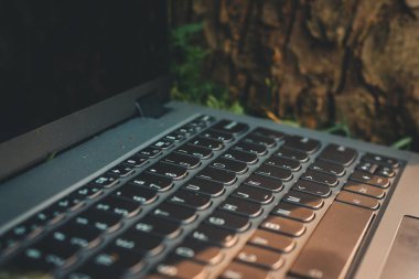 Altın saat boyunca dizüstü bilgisayar doğada unutuldu