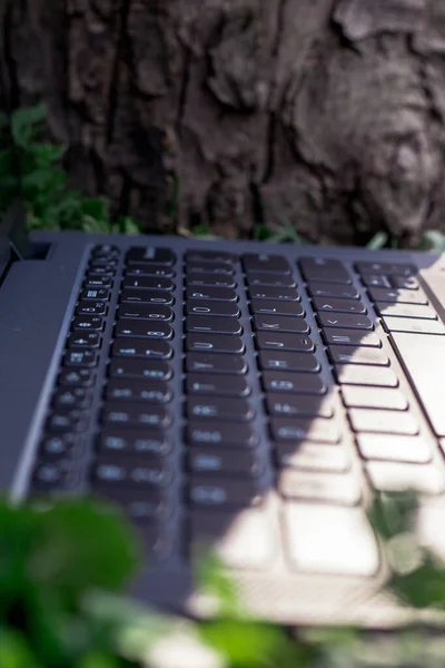 Ordenador Portátil Teclado Naturaleza — Foto de Stock