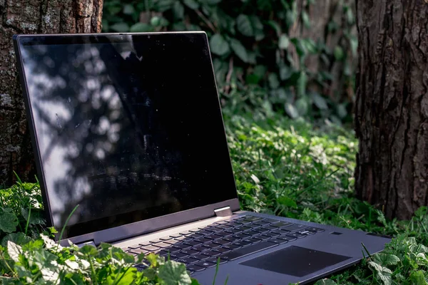 Laptop Product Shoot Out Nature — Stock Photo, Image