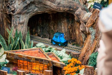 Şehrin içinden geçen mavi model bir tren.