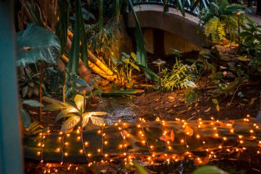 Christmas lights in the tropical greenhouse clipart