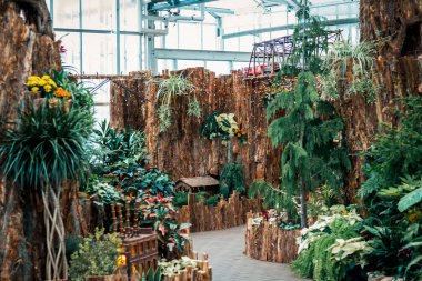 Bir serada büyük ölçekli tren görüntüsü