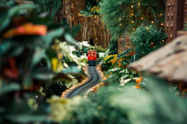 Bahçecilik sergisinde küçük kırmızı model tren.