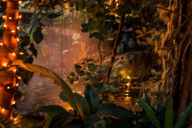 Şelale sisi yılbaşı ışıklarıyla aydınlanıyor.