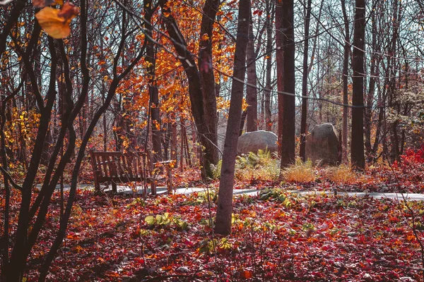 Vägen Genom Höstskog Park — Stockfoto