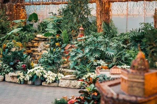 Stor Trädgårdsutställning Ett Växthus Grand Rapids Michigan — Stockfoto