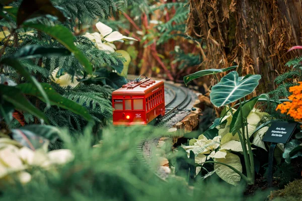 Bahçıvanlık Sergisinde Bir Raydan Geçen Model Tramvay Treni — Stok fotoğraf