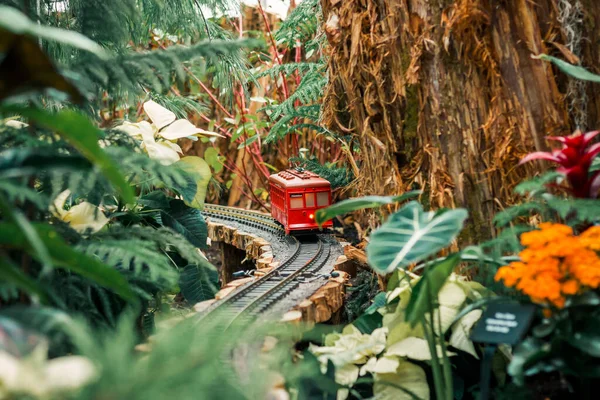 Model tramvay bir ray boyunca çalışıyor.