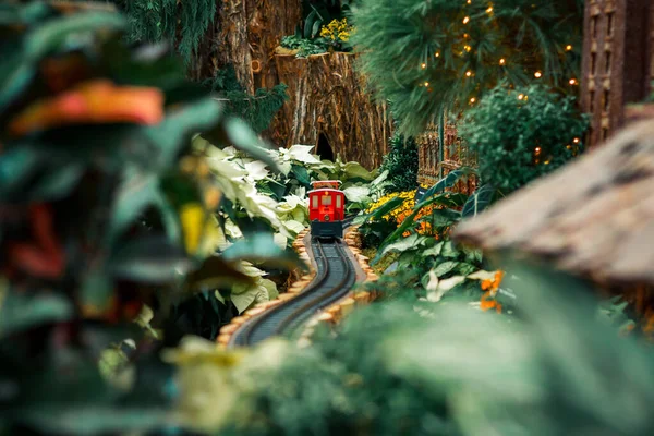 Bahçecilik Tatil Sergisinde Küçük Kırmızı Model Tren — Stok fotoğraf