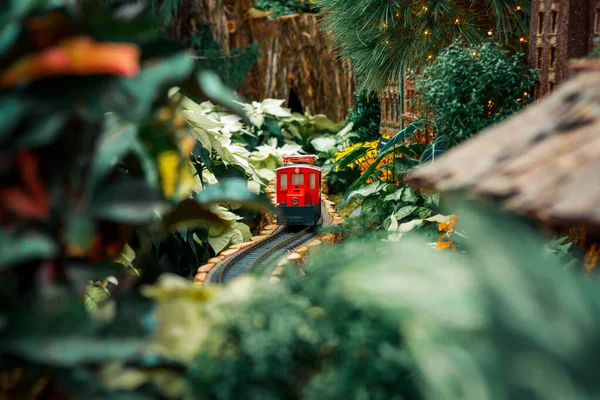 Bahçecilik Bayramı Gösterisinde Küçük Kırmızı Model Tren — Stok fotoğraf