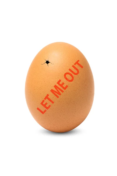 Egg isolated on a white background — Stock Photo, Image