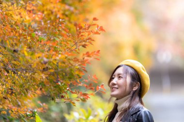 Beautiful autumn leaves and beautiful Japanese women in Japa