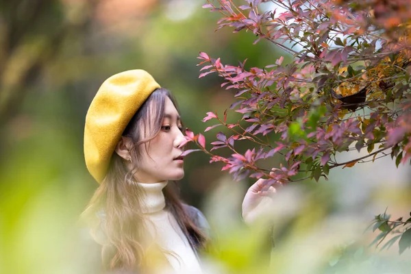 Beautiful Autumn Leaves Beautiful Japanese Women Japa — Stockfoto