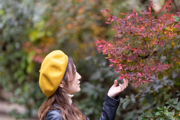 Beautiful Autumn Leaves Beautiful Japanese Women Japa — Stockfoto