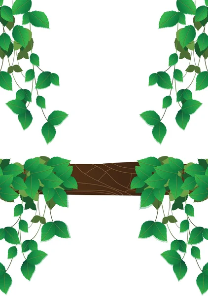 Green leaves. — Stock Vector