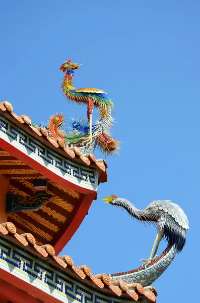 Roof — Stock Photo, Image