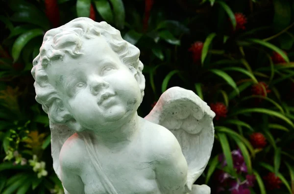 Angel Baby é feito de gesso ,. — Fotografia de Stock