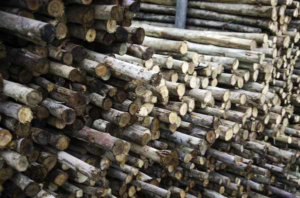 Un mucchio di legna . — Foto Stock