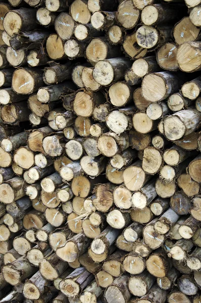 Un mucchio di legna . — Foto Stock