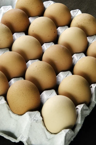 鶏の卵. — ストック写真